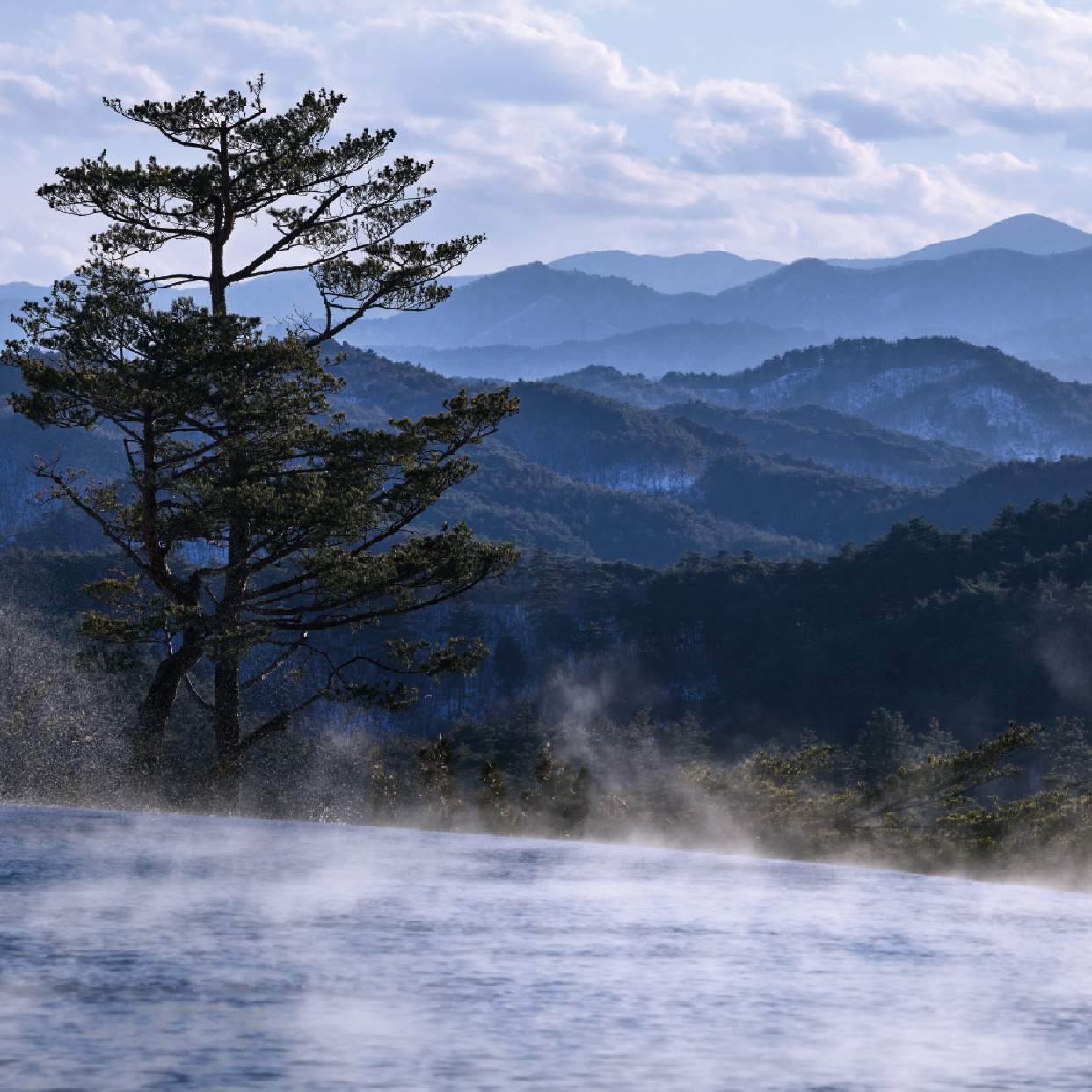설해원 업체등록사진