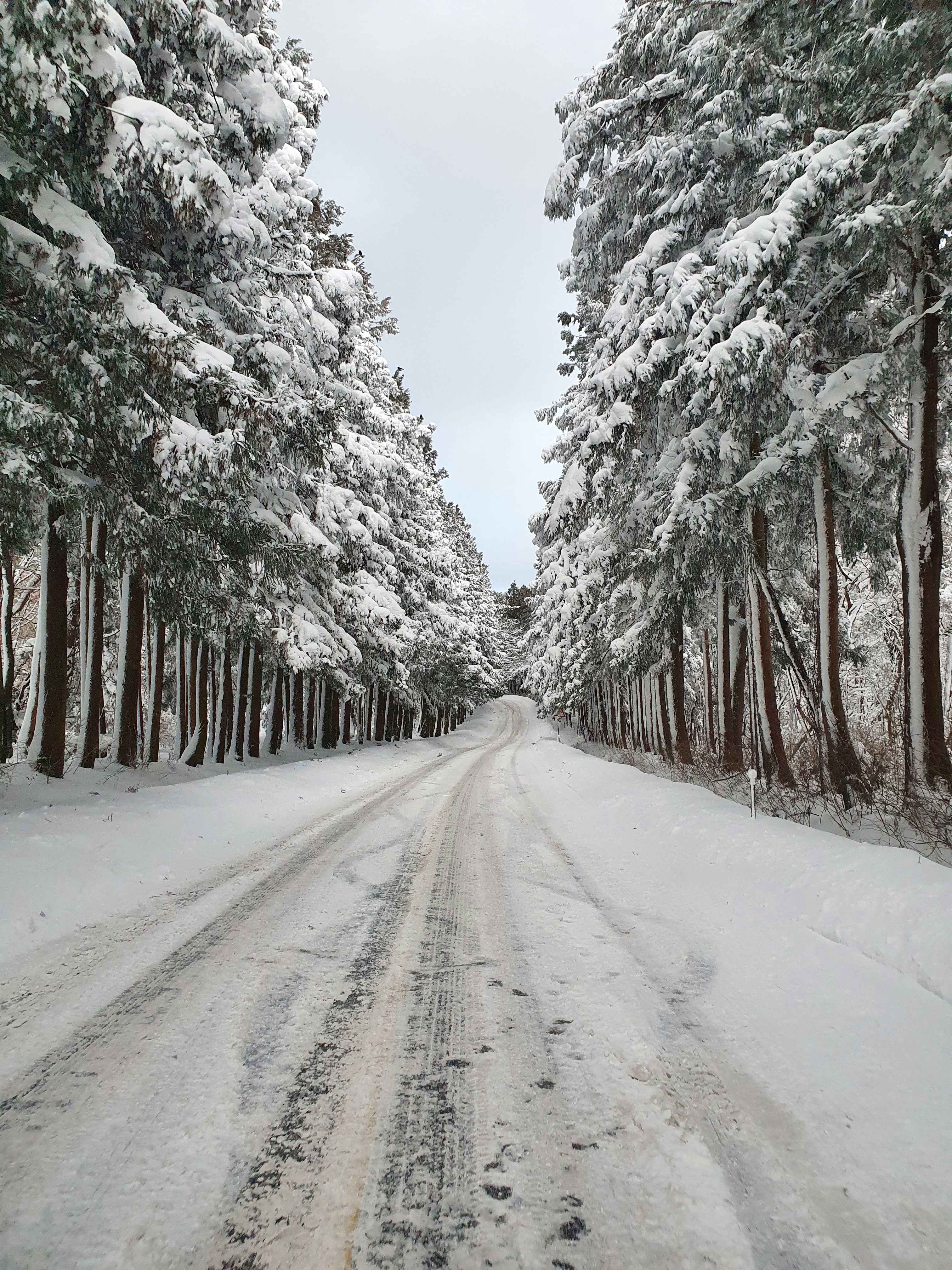 ⓒ한국관광공사 포토코리아-황태길