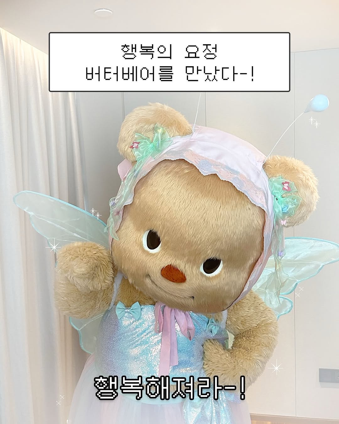 사진=버터베어 공식 인스타그램