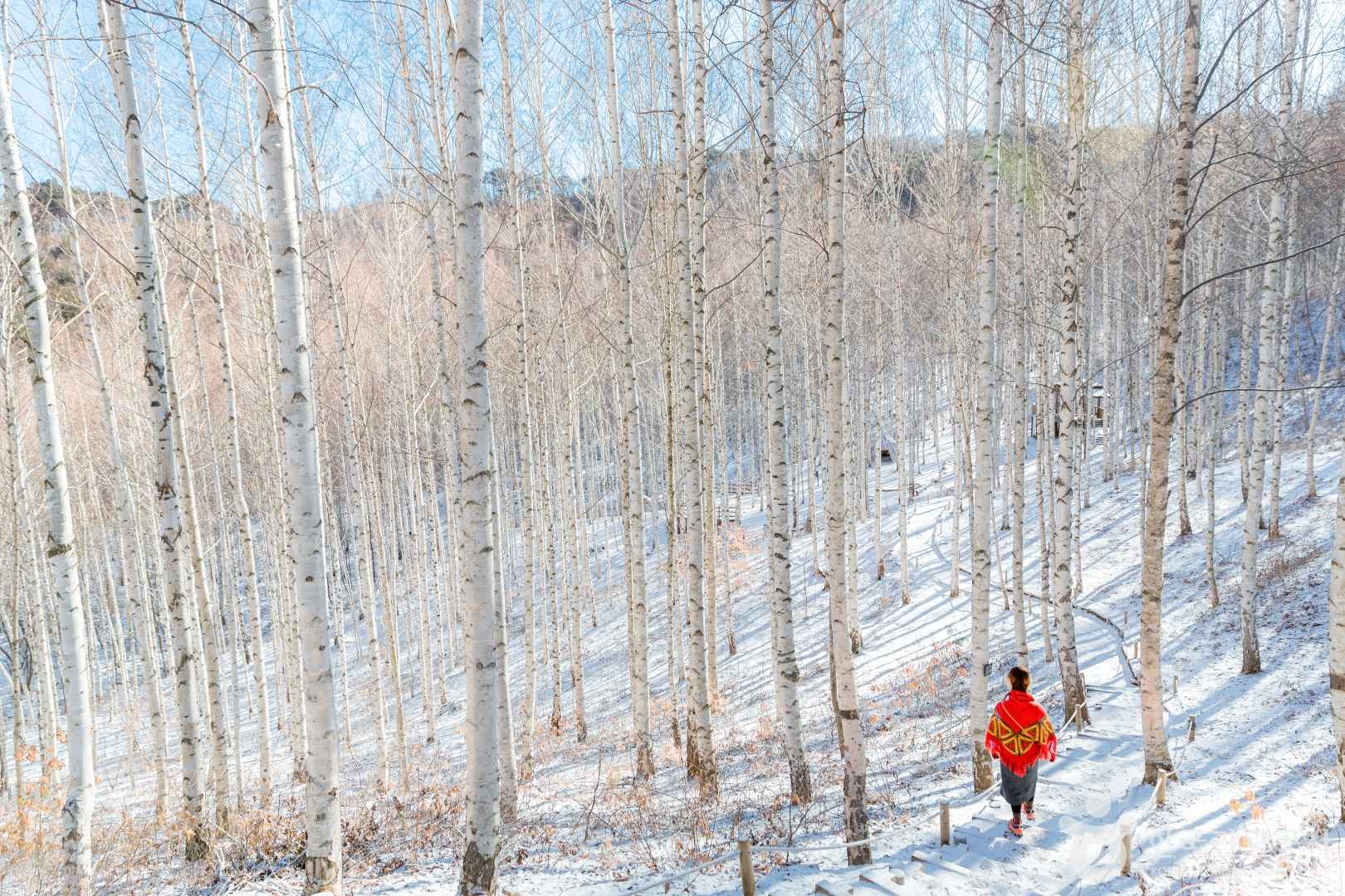 사진=ⓒ한국관광공사 포토코리아-두잇컴퍼니 이현엽