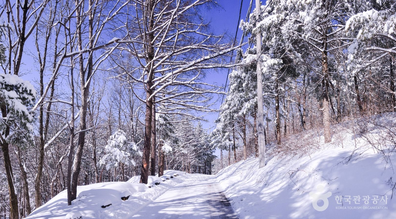 사진=ⓒ한국관광공사 포토코리아-라이브스튜디오