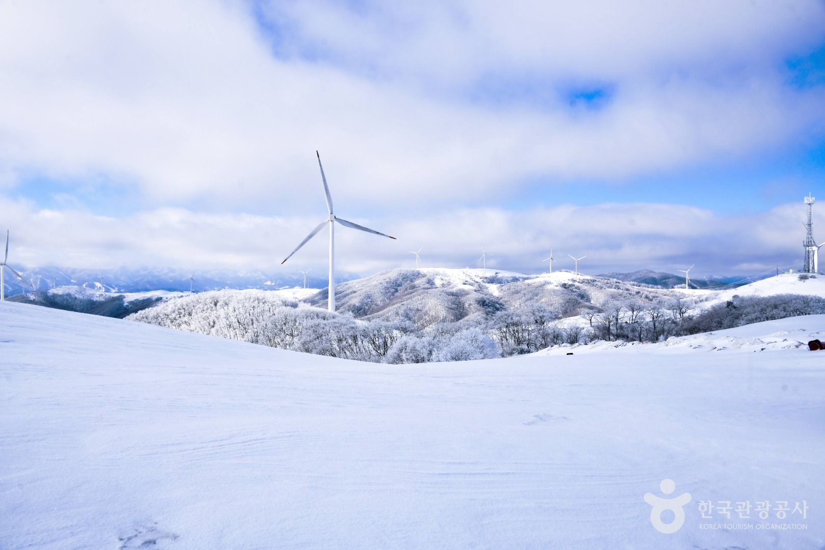 사진=ⓒ한국관광공사 포토코리아-라이브스튜디오