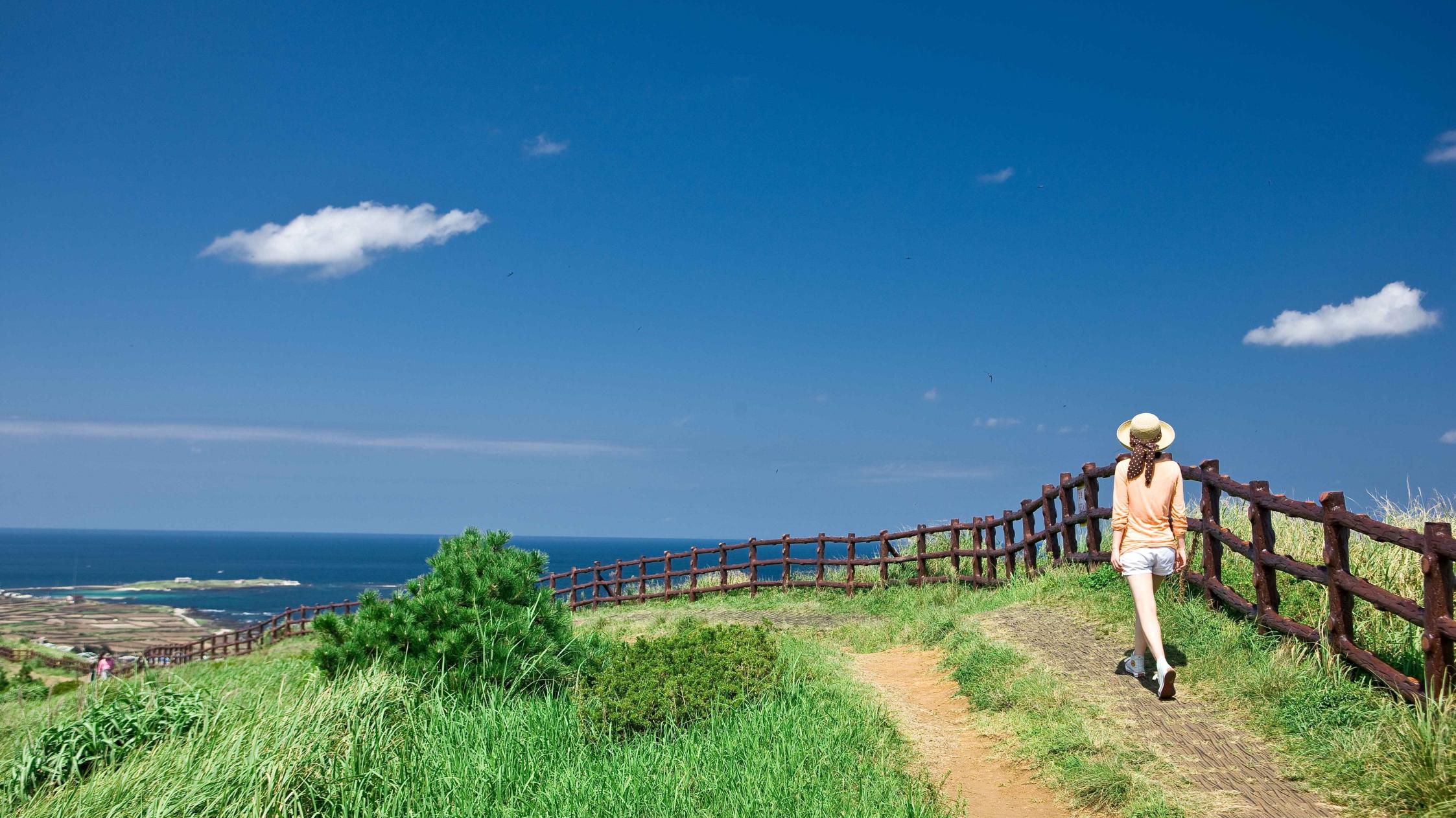 풍경이 다 했다… 걷기만 해도 힐링되는 제주 올레길 BEST 5