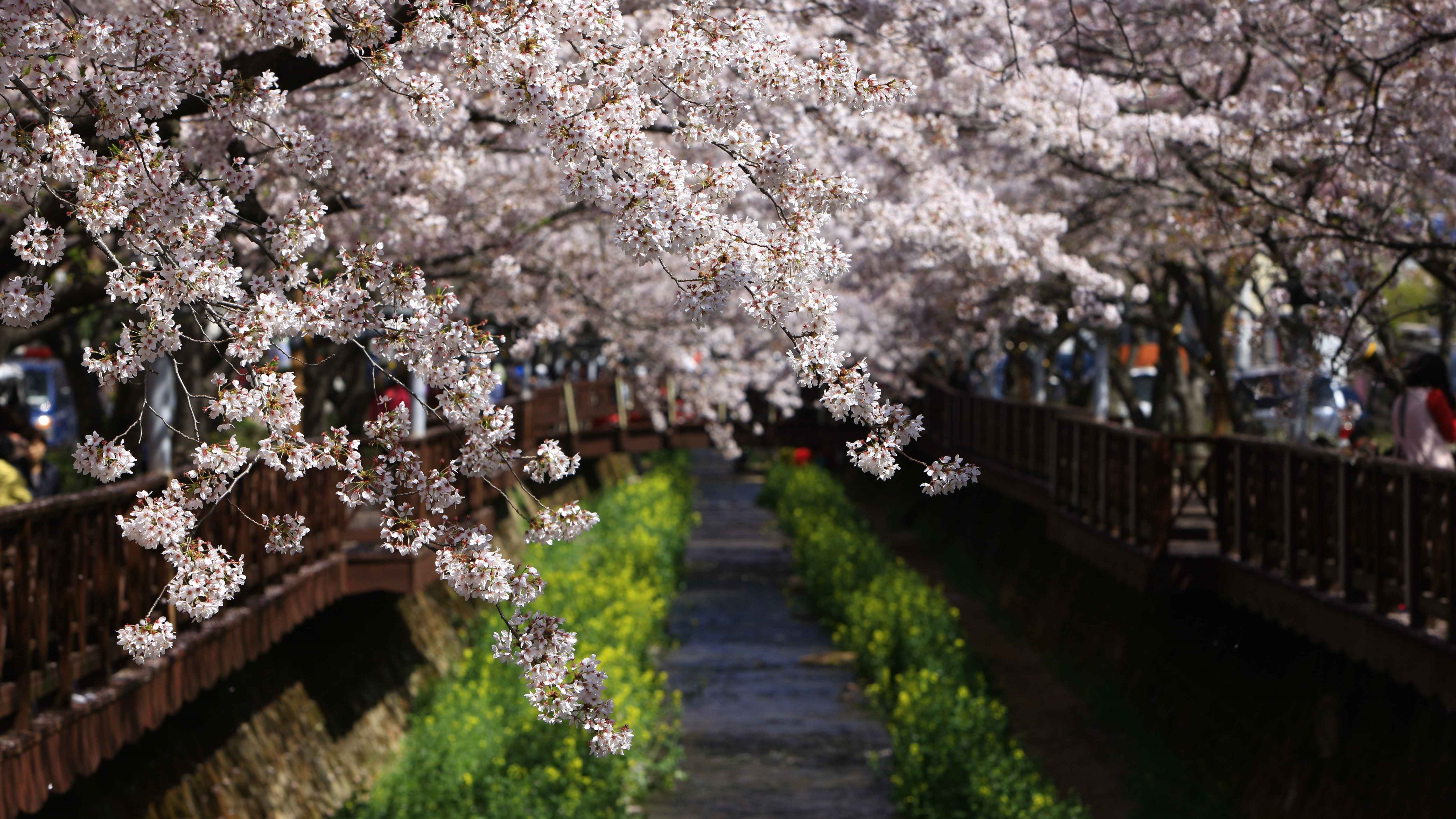 이미지=ⓒ한국관광공사 포토코리아-김지호