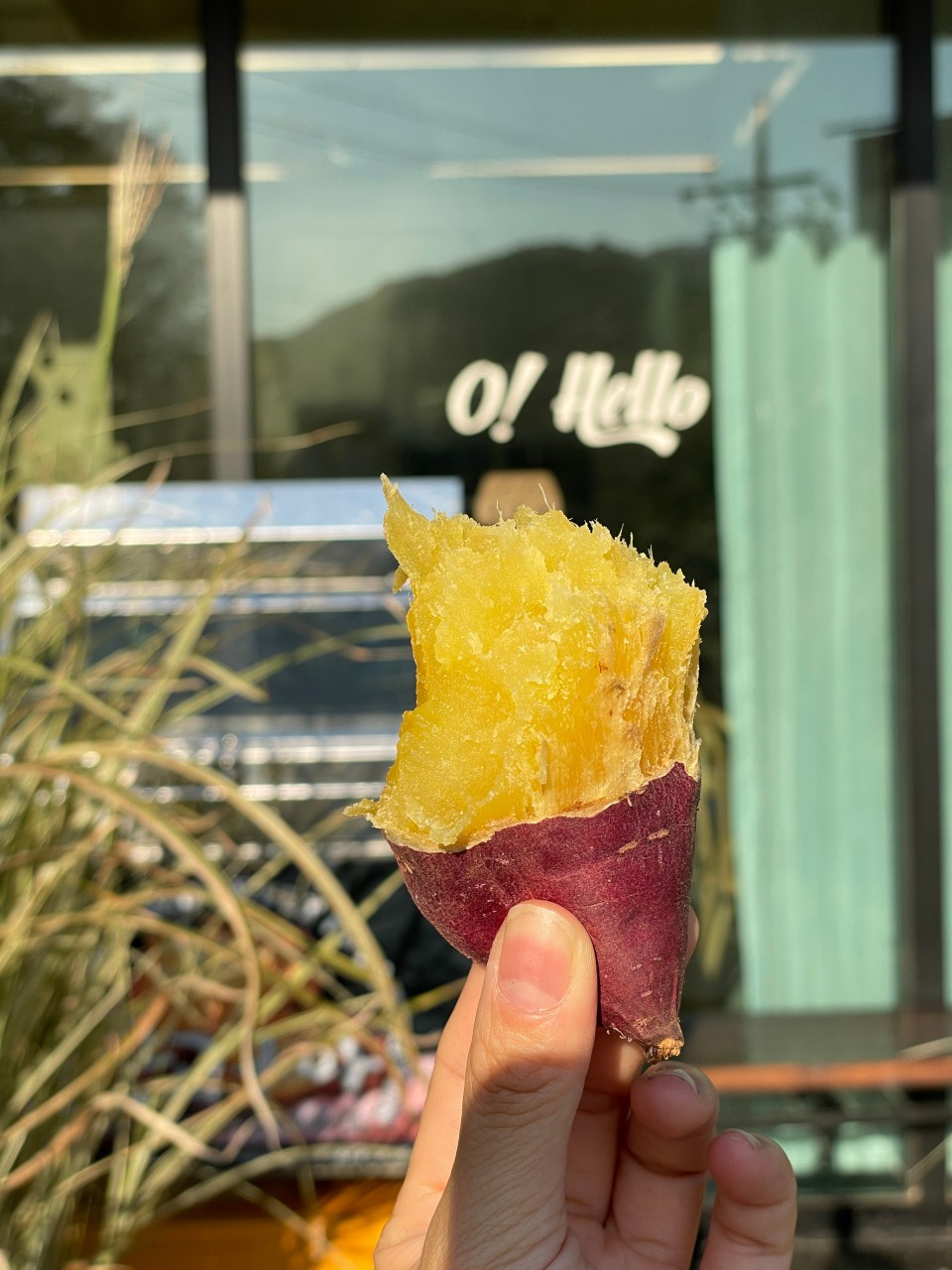 오헬로 업체등록사진