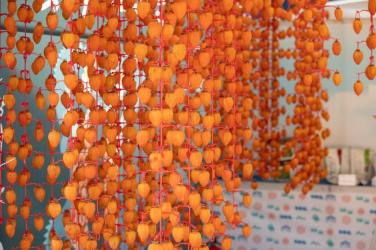 지리산 겨울의 맛… 제10회 함양 고종시 곶감축제 한눈에 보기