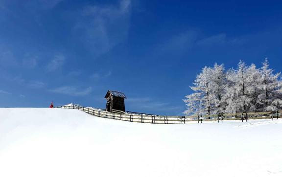 눈 오면 더 예쁜 강원도, 겨울에만 볼 수 있는 특별한 설경 명소 BEST 3