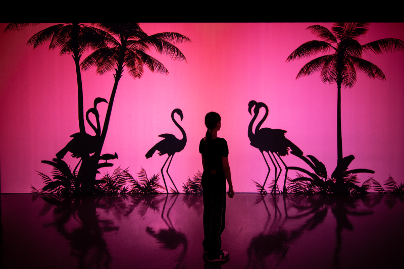 사진=아르떼뮤지엄 공식 홈페이지