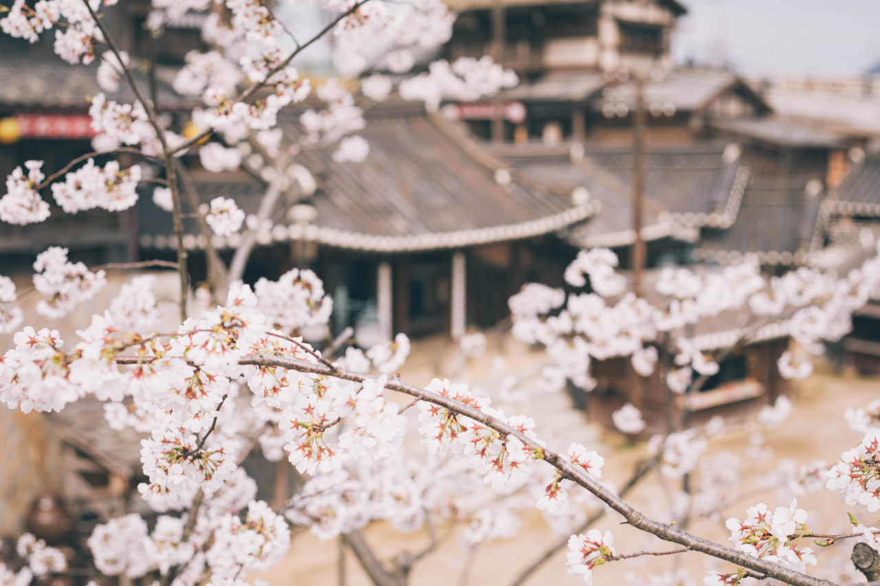 사진=선샤인 스튜디오 공식 홈페이지