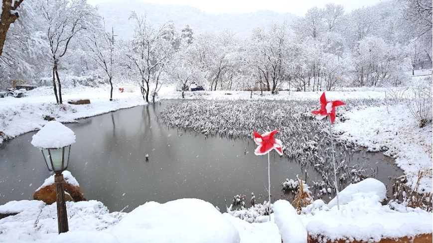 필례 게르마늄 온천 업체등록사진