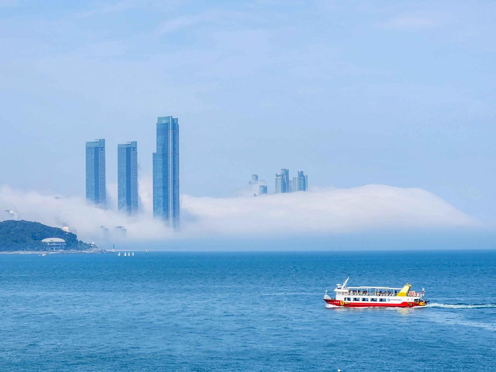 부산 오션뷰 카페 TOP4, 영도·광안리·기장·해운대 바다 보며 커피 한 잔