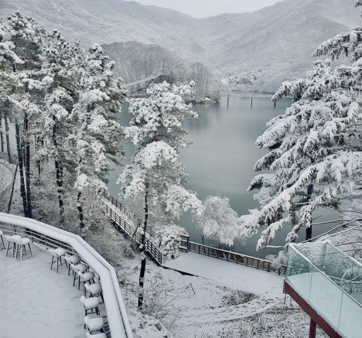 겨울 눈멍 카페 4곳 총정리: 설경 제대로 보이는 서울 근교 카페 가이드