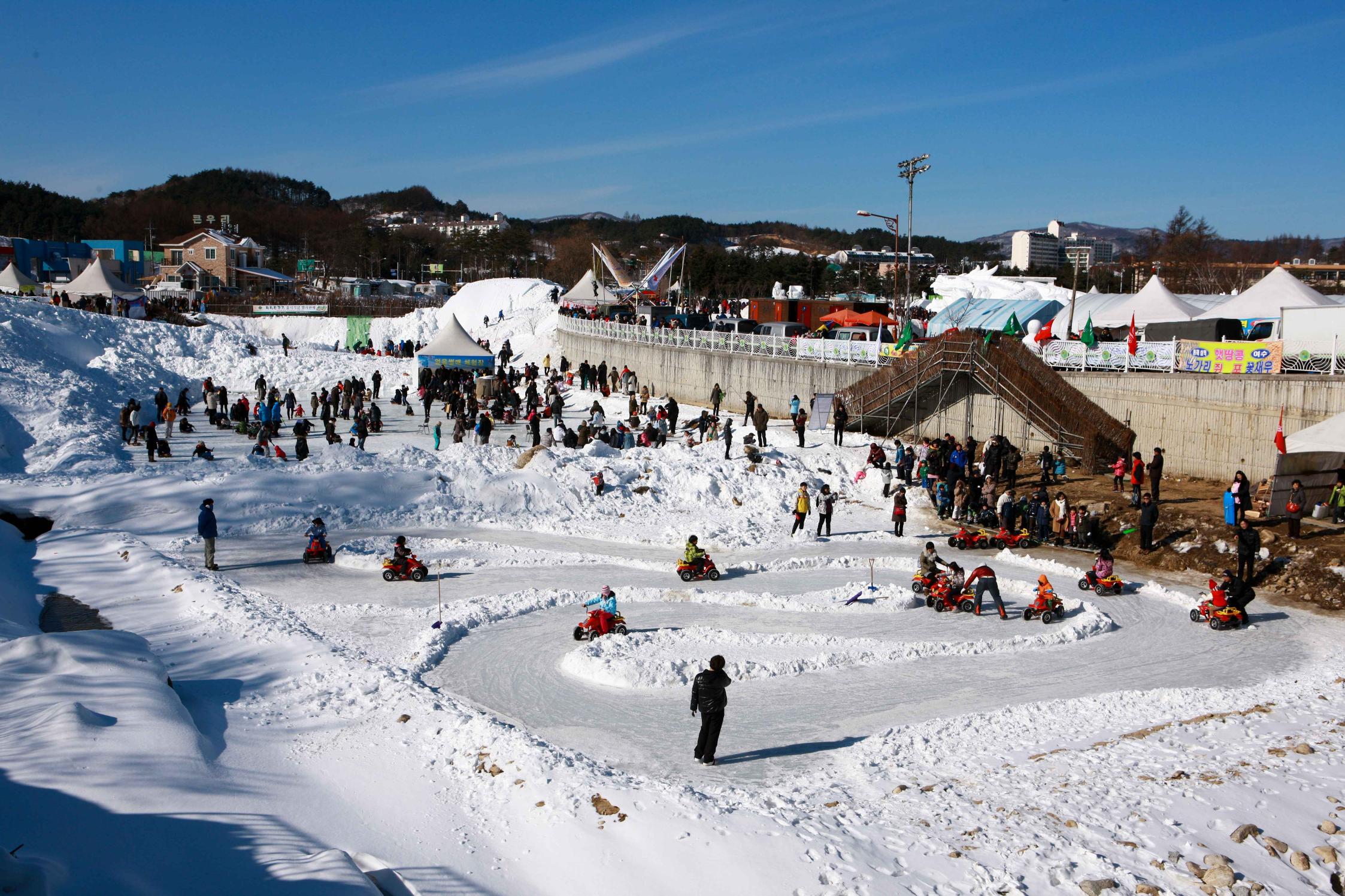 2026 대관령눈꽃축제 기본정보 총정리 : 예매, 주차, 평창 주변 코스까지 전부 다