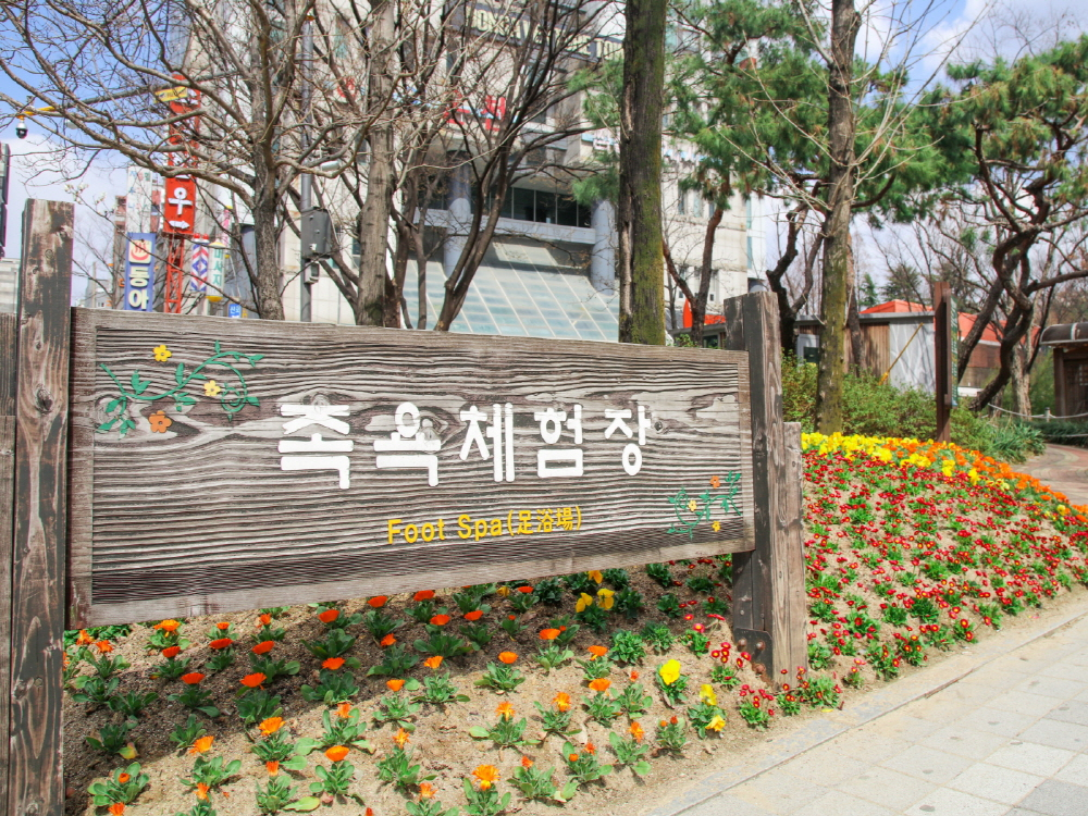 유성구 홈페이지 갈무리