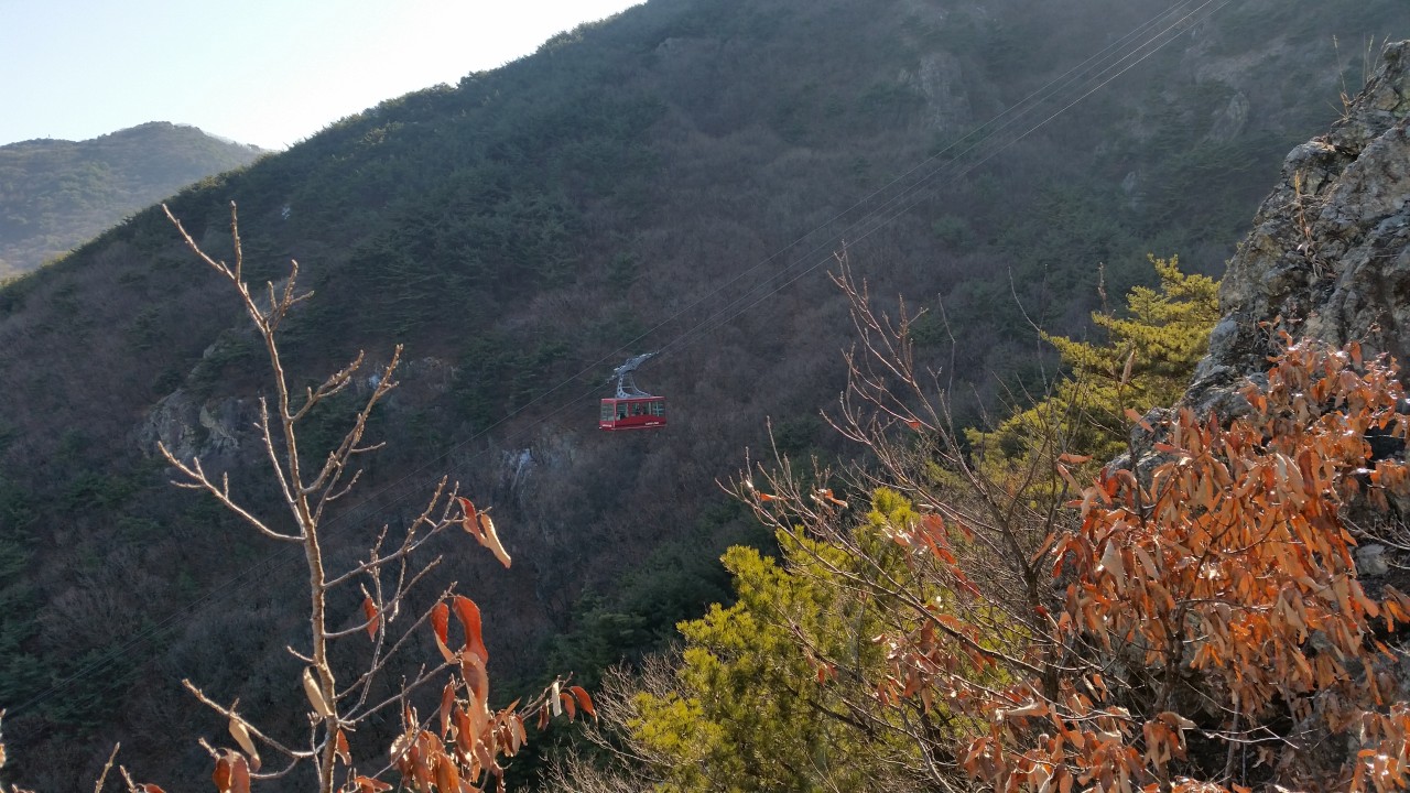 사진=앞산 케이블카 공식 홈페이지