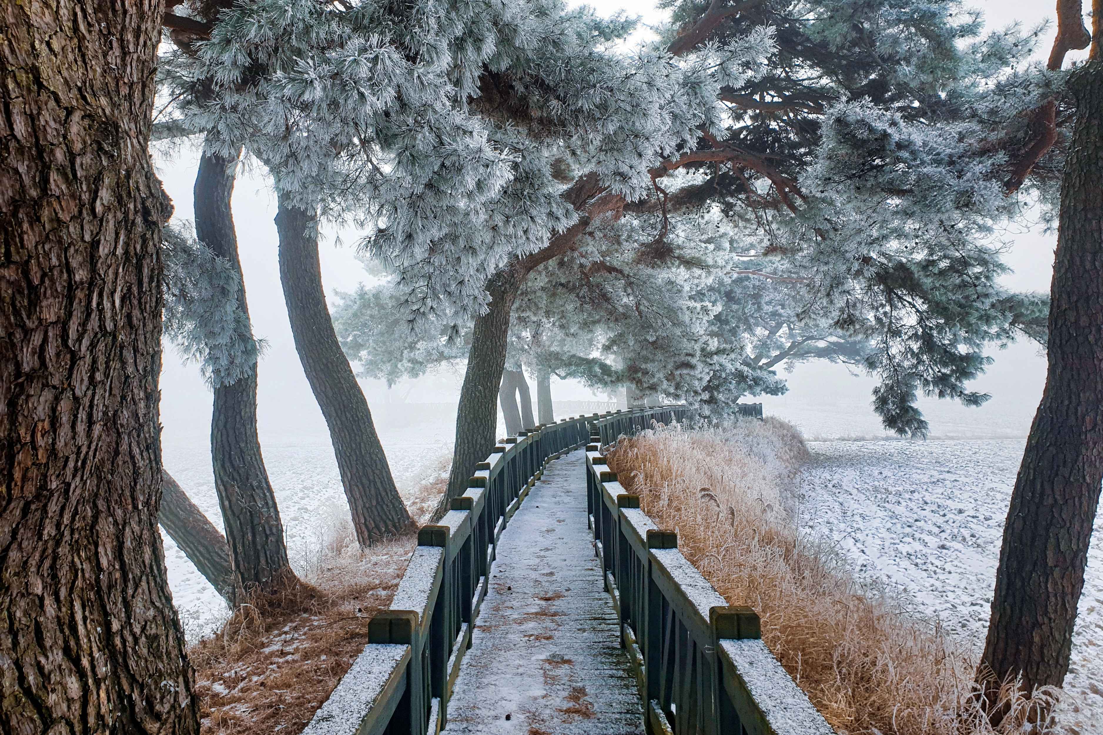 ⓒ한국관광공사 포토코리아-김영수