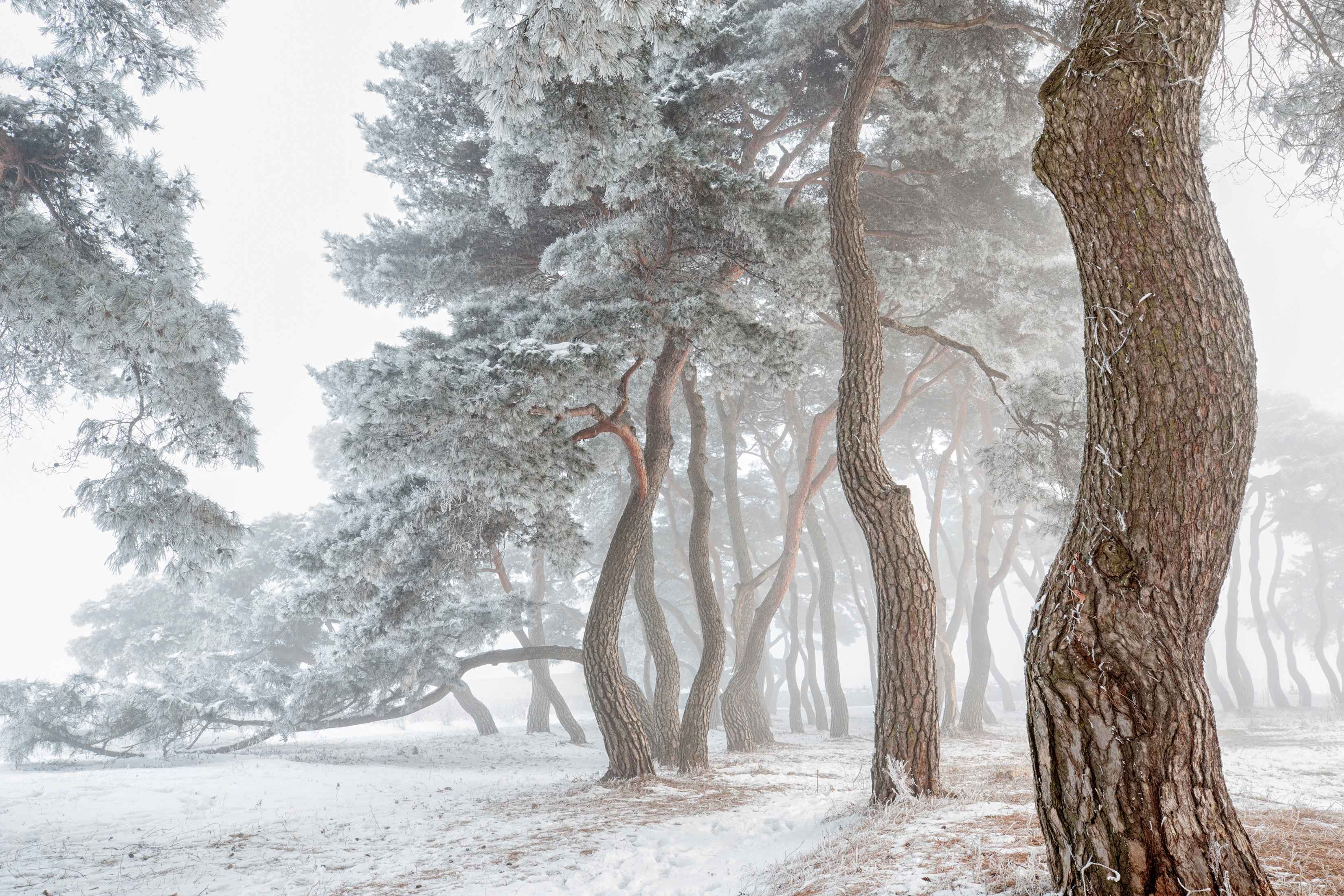 ⓒ한국관광공사 포토코리아-윤정근
