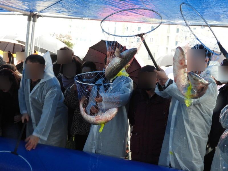 사진=2026 무안 겨울 숭어 축제 공식 블로그