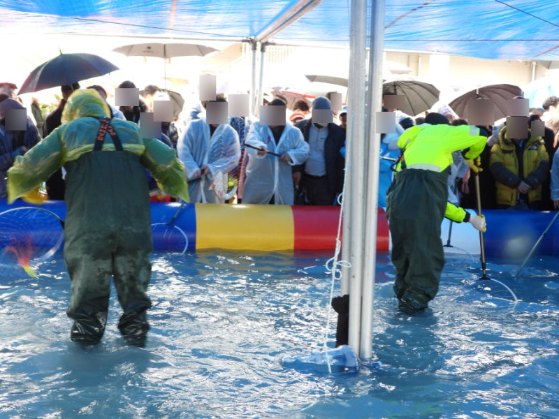 사진=2026 무안 겨울 숭어 축제 공식 블로그