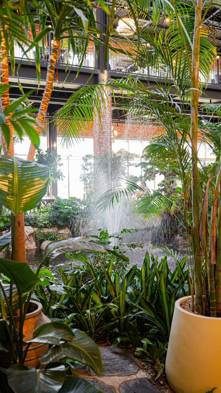 경춘당베이커리&브런치식물원카페 업체등록사진