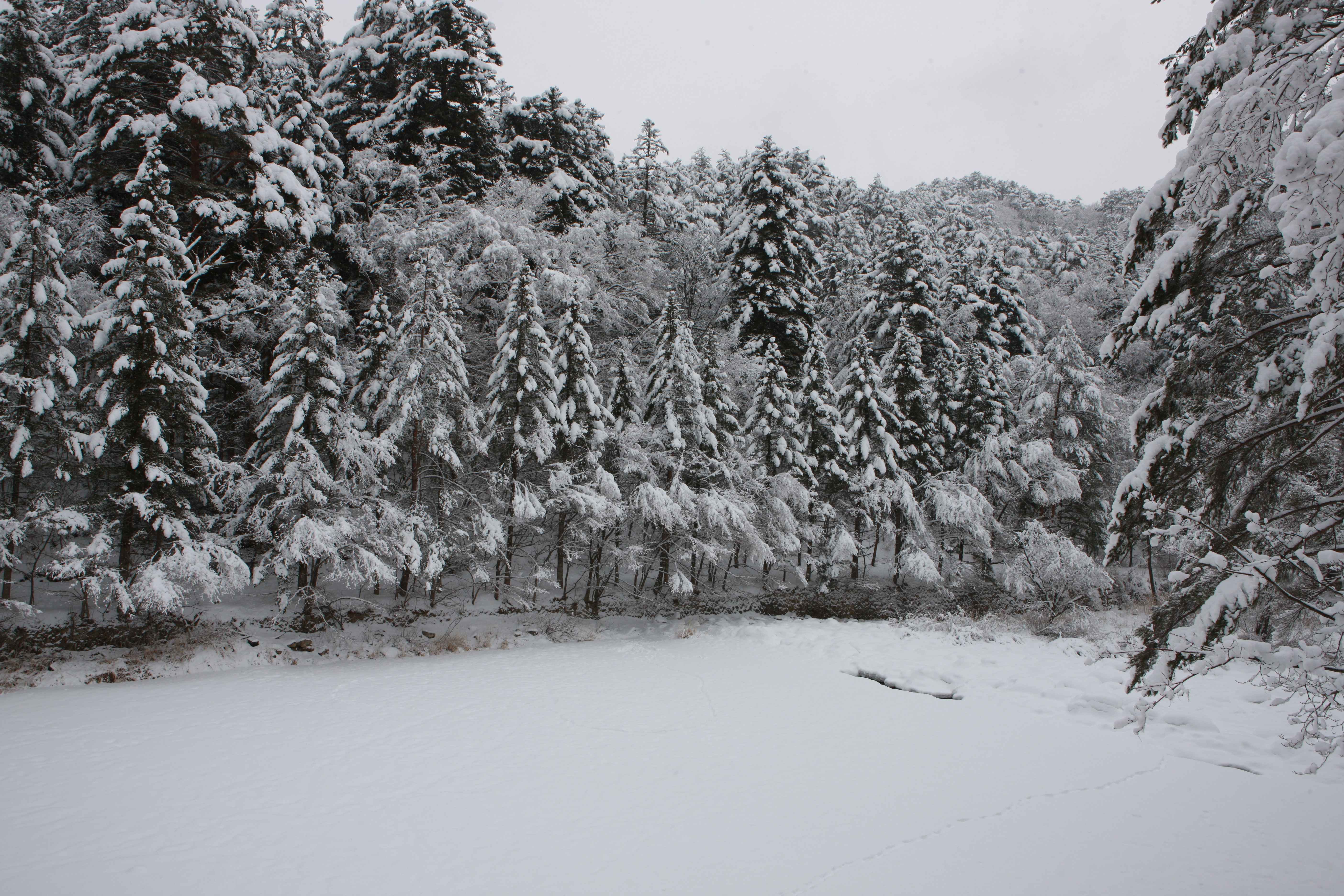 사진=ⓒ한국관광공사 포토코리아-김지호