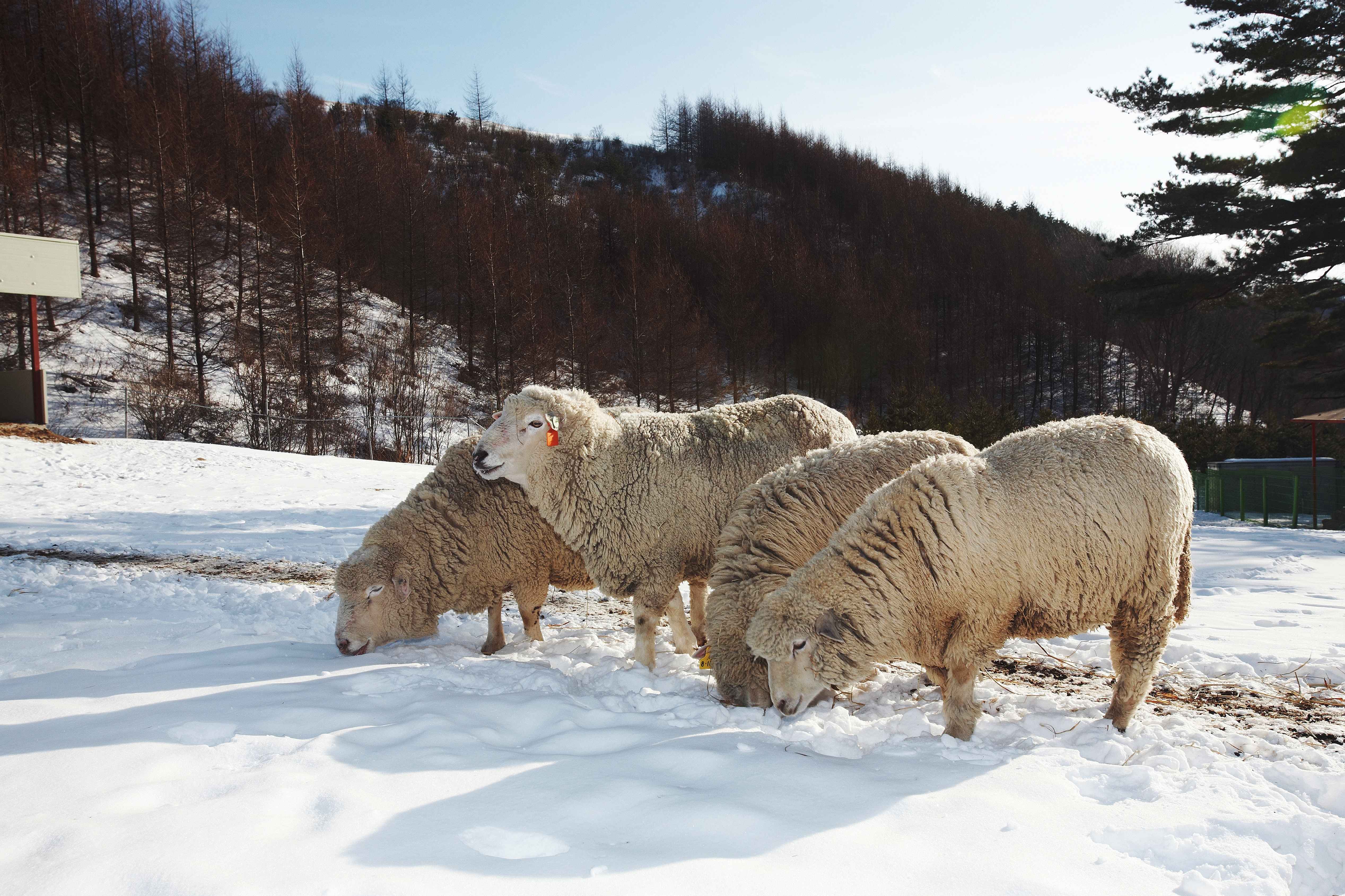 사진=ⓒ한국관광공사 포토코리아- 한국관광공사, 판앤담스튜디오