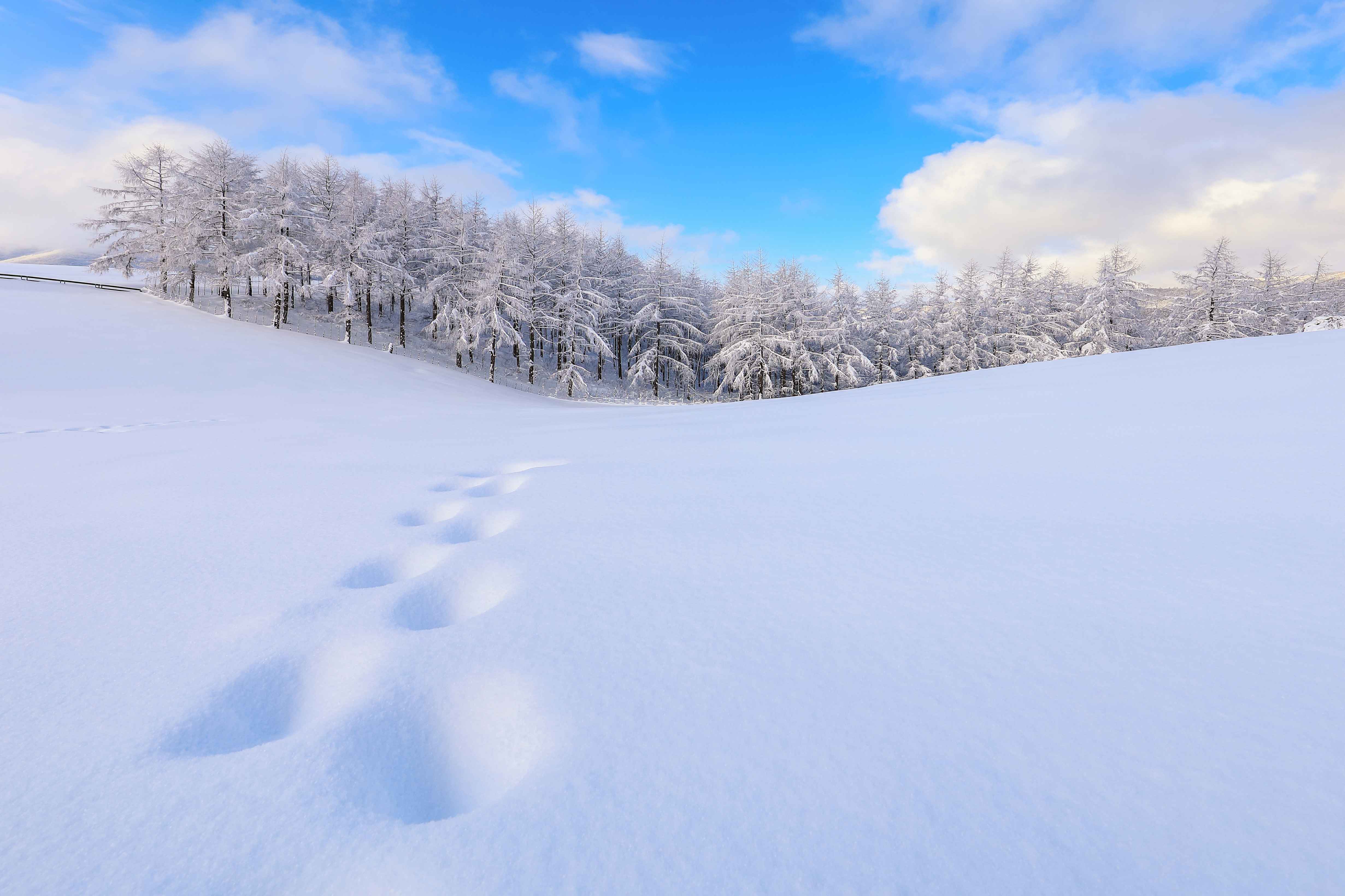 사진=ⓒ한국관광공사 포토코리아-우제용