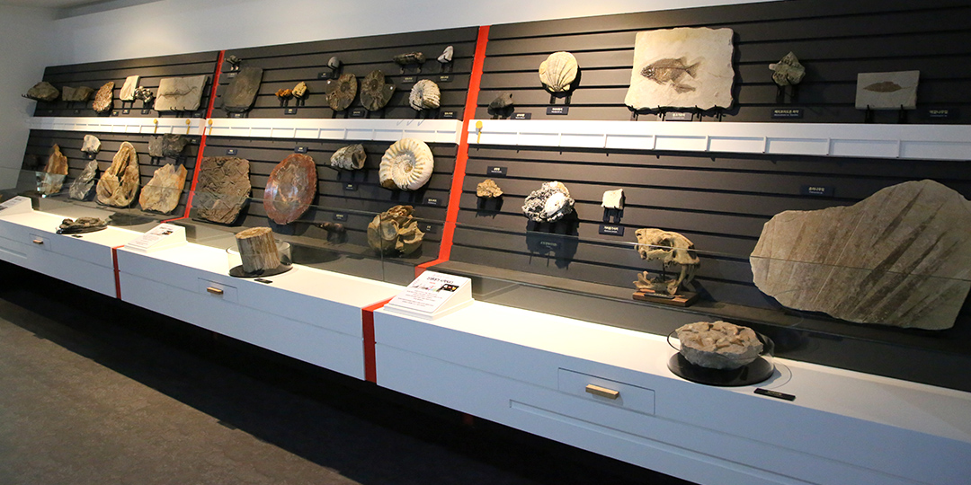 사진=노원천문우주과학관 공식 홈페이지