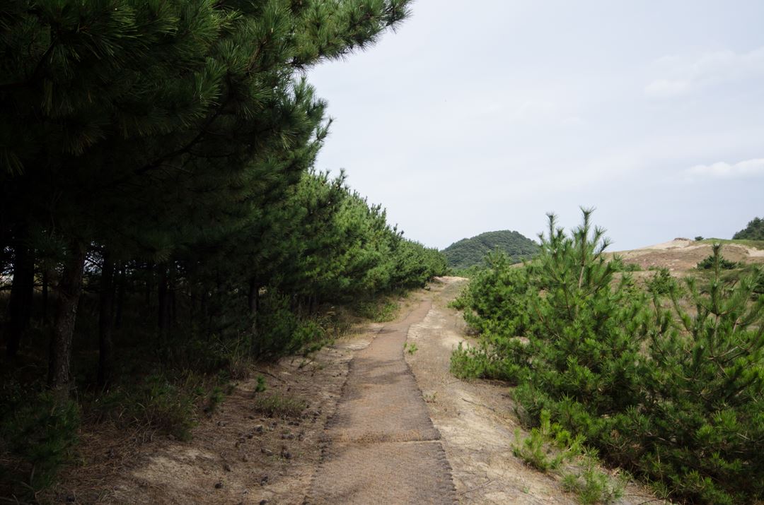 사진=인천광역시 인천투어 공식 홈페이지