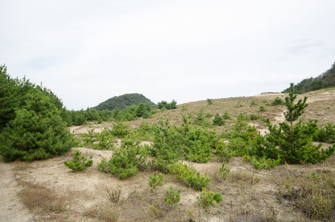 사진=인천광역시 인천투어 공식 홈페이지