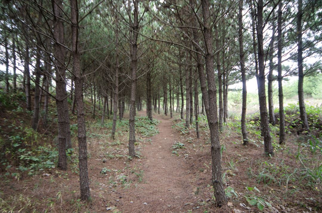 사진=인천광역시 인천투어 공식 홈페이지