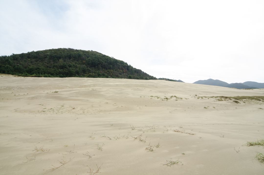 사진=인천광역시 인천투어 공식 홈페이지