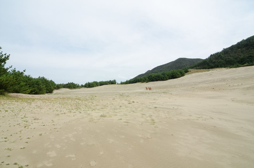 사진=인천광역시 인천투어 공식 홈페이지