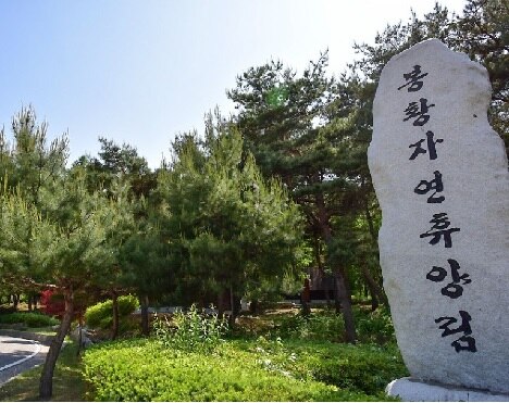 사진=봉황자연휴양림 공식 홈페이지