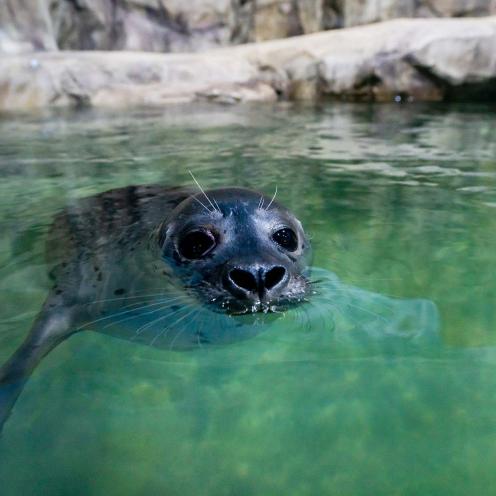 “그냥 수족관인 줄 알았다가 정글까지 찍고 나왔다”…플레이 아쿠아리움 부천, 도심 한복판에서 시간 순삭