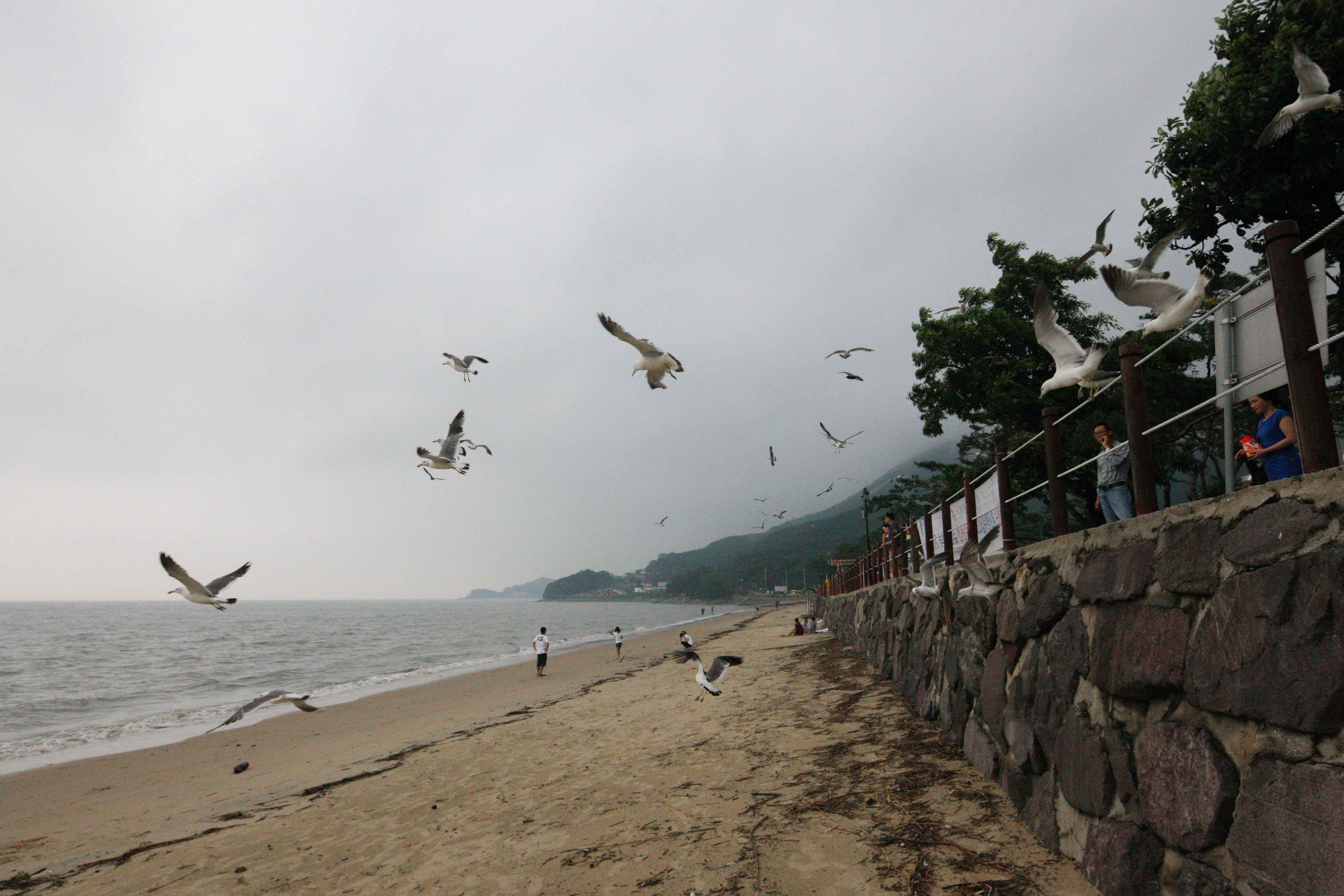 ⓒ한국관광공사 포토코리아-김지호