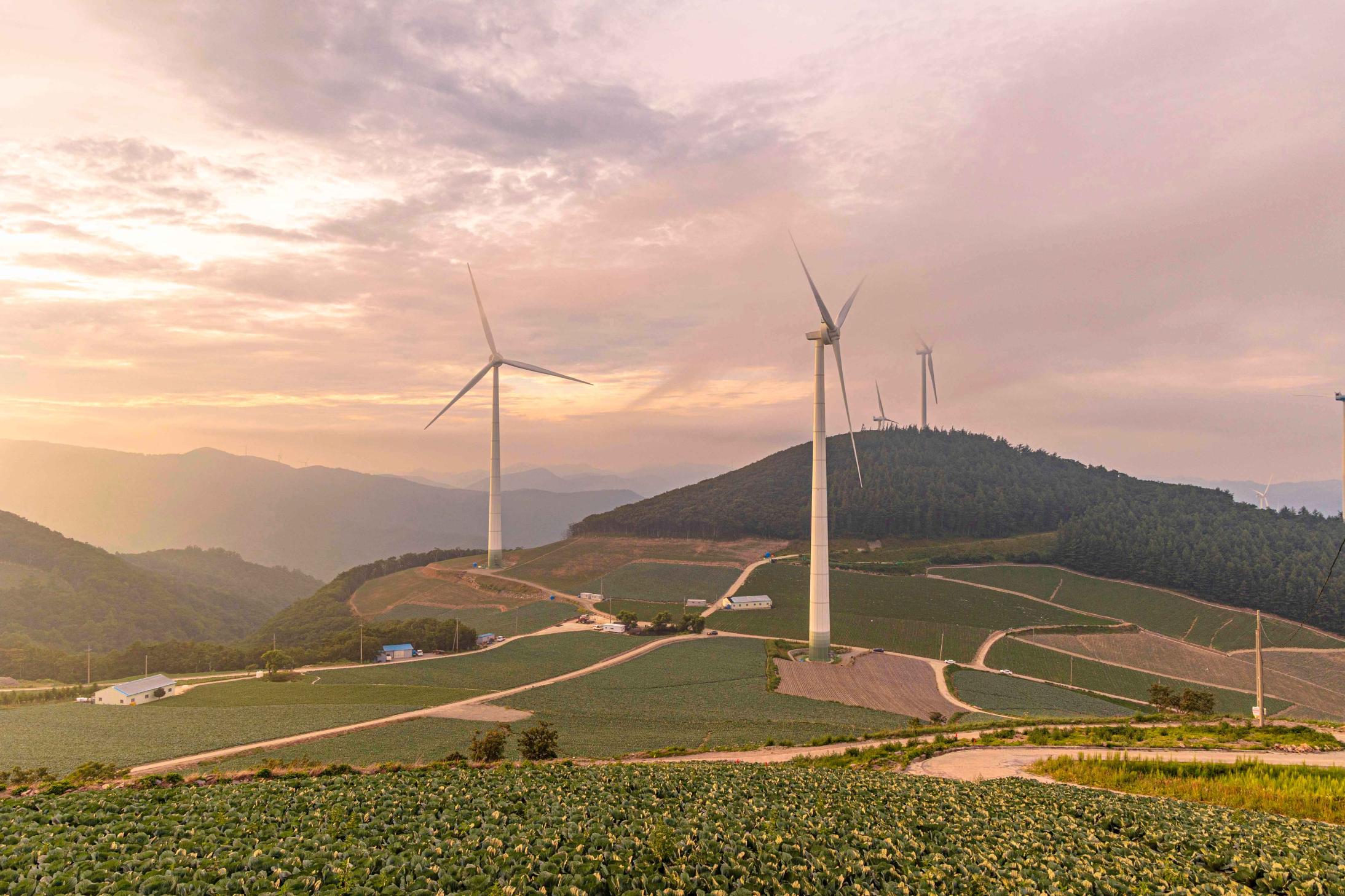 해발 900m 바람부터 다른 이곳, 강원 태백 여행 하루를 채우는 코스 정리