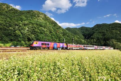 레일 위에서 만나는 정선의 하루… ‘아리랑’을 따라 달리는 기차
