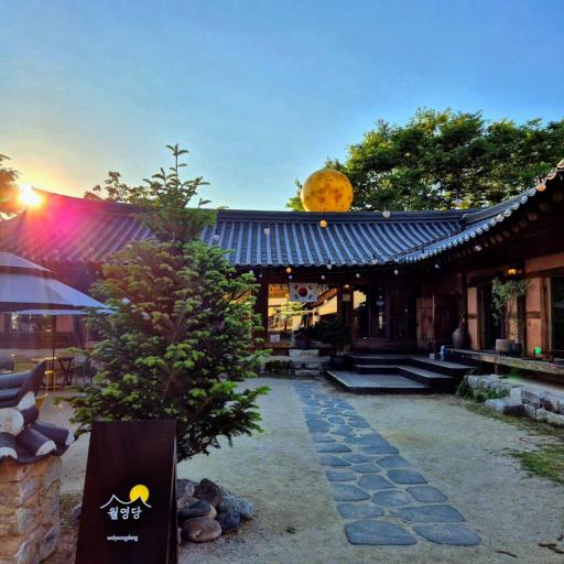 “하회마을만 보고 가면 아쉬워요”… 안동 여행 중 꼭 들러야 할 감성 카페 4곳