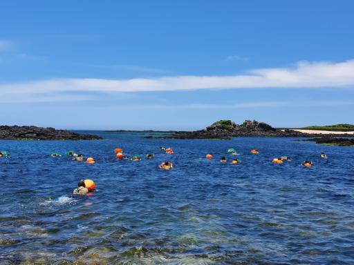 “제주 해녀의 7%가 사는 마을, 하도에서 직접 물질을 배우다”