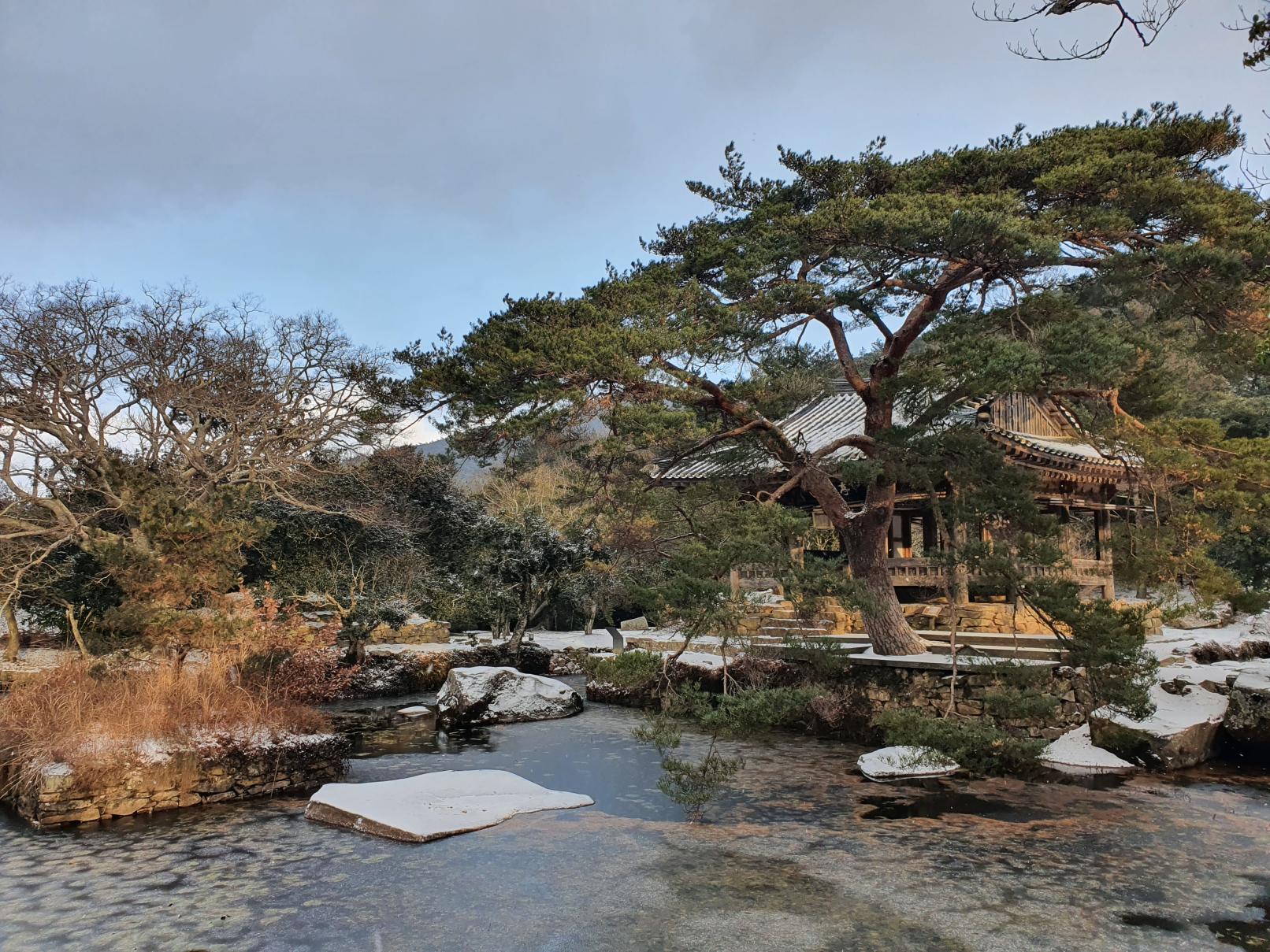 “연꽃처럼 피어난 섬이라니?”… 조선 시인 머문 보길도 윤선도 원림