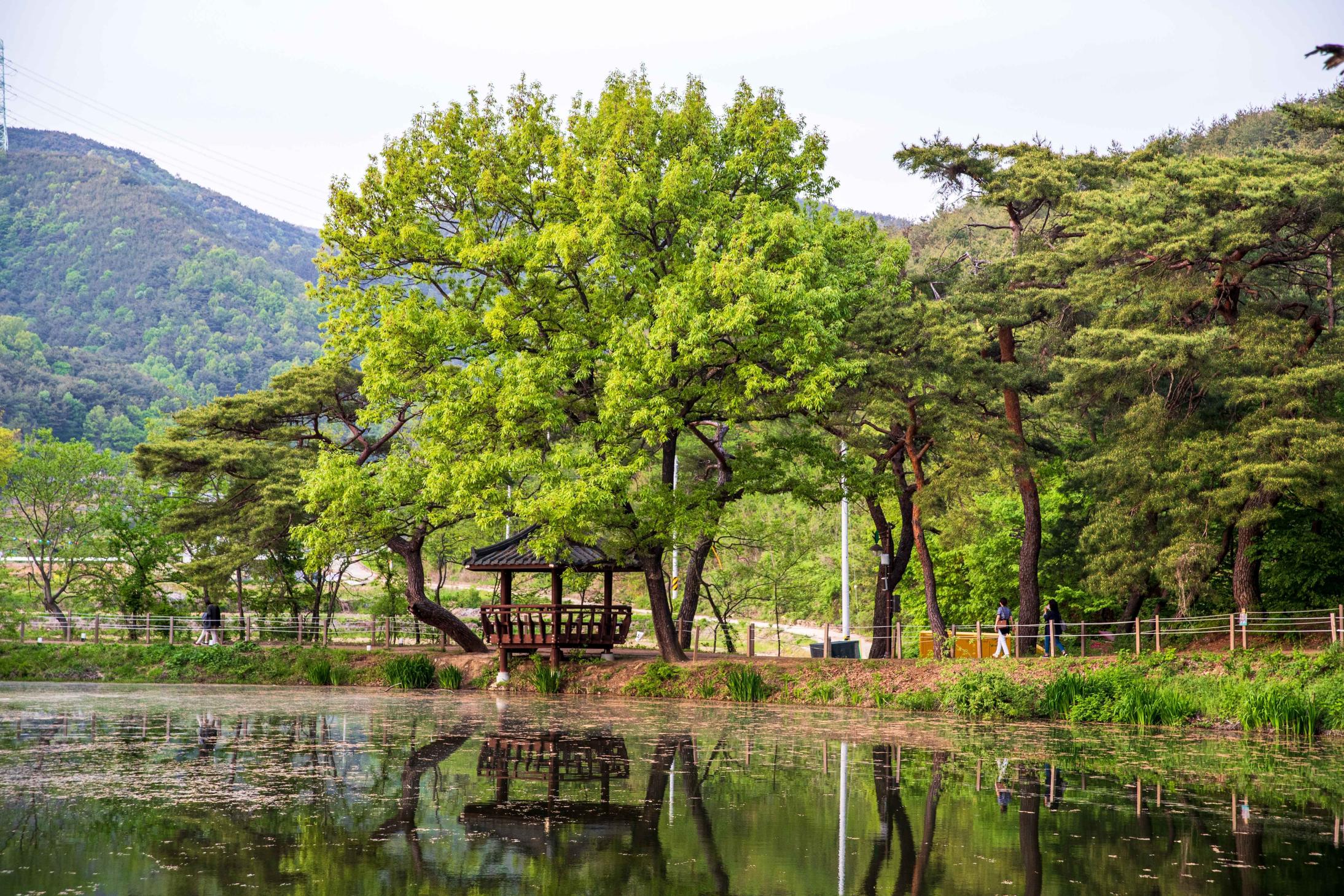 밀양 1박 2일 여행 코스 총정리, 이것만 알면 끝 영남루·위양지·얼음골 완벽 일정