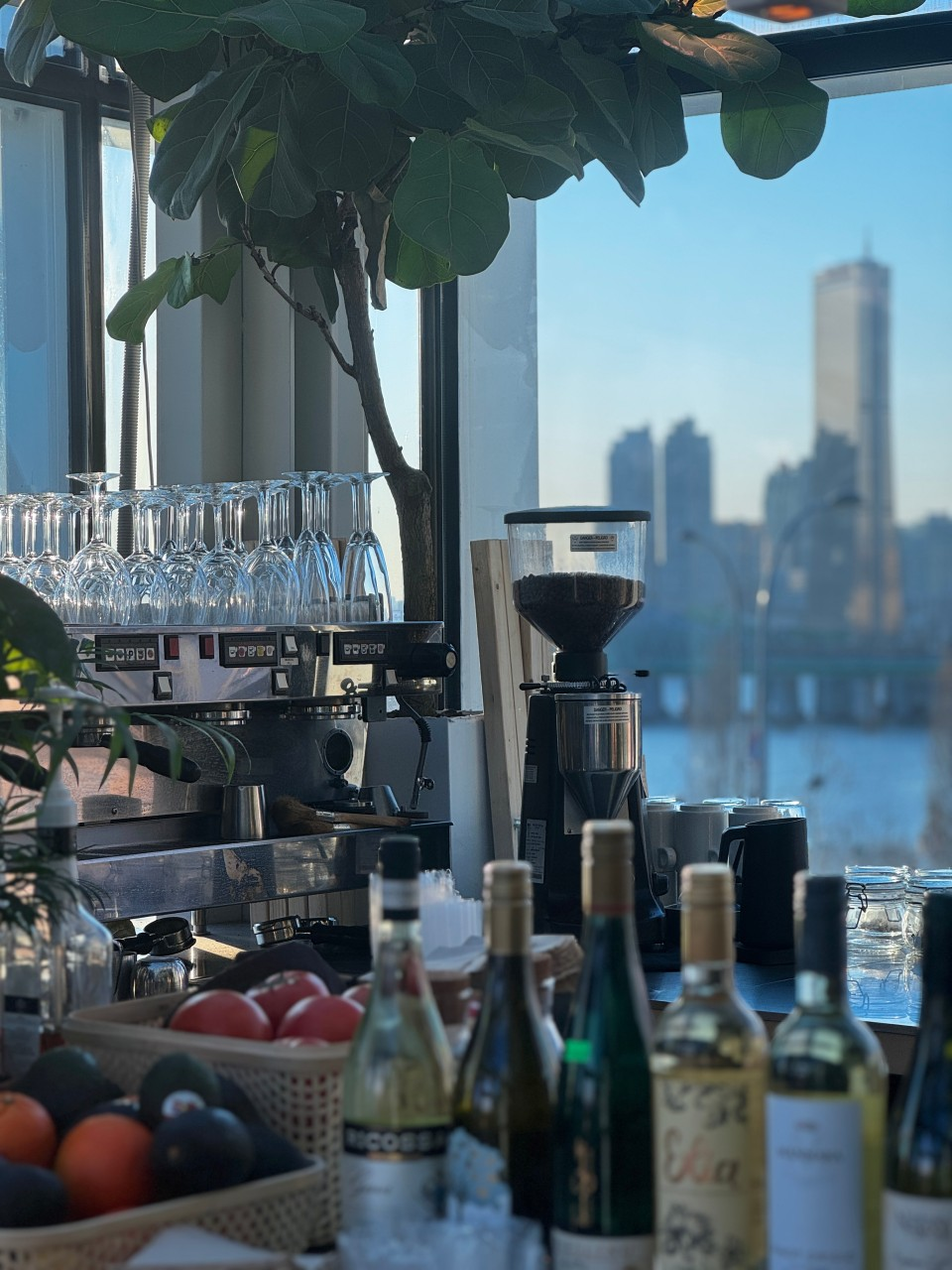 어반플랜트 업체등록사진