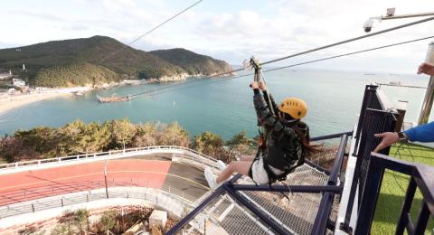 “바다 위를 가로지른다” 부산 태종대 짚라인, 실제 타보면 이런 풍경입니다